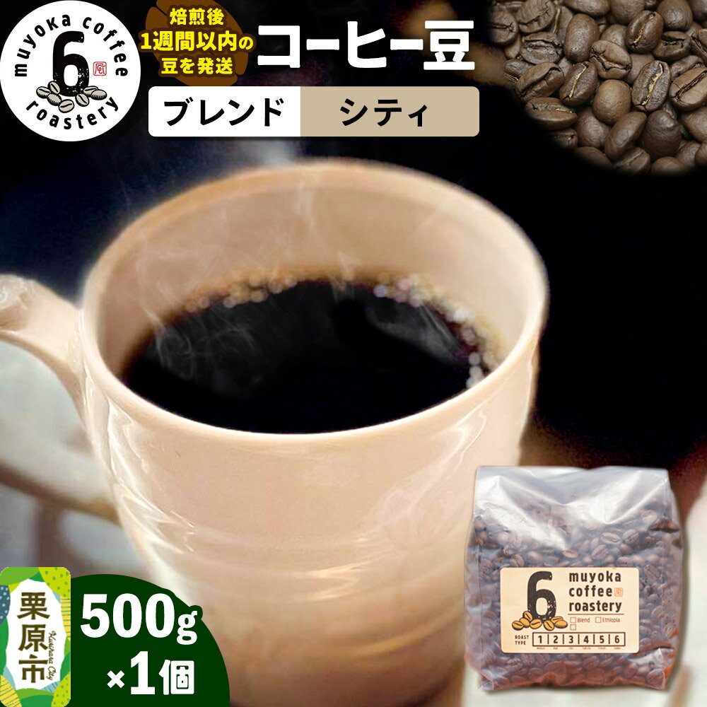 【ふるさと納税】コーヒー豆 ブレンド シティ 500g×1個