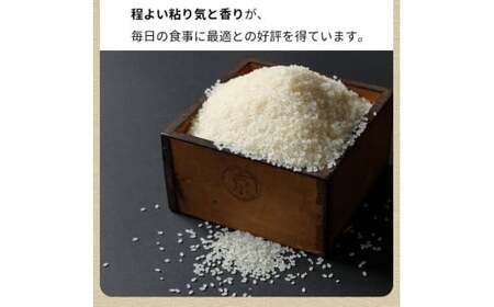 【毎月1回お届け】【定期便】令和7年産 新米 京都丹波米 こしひかり10kg×12回 計120kg