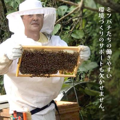 ふるさと納税 国頭村 やんばるpure生蜂蜜(国産はちみつ) 甘い百花蜜 180g×2瓶 |  | 03