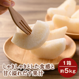 YN-08　甘ひびき梨　5kg