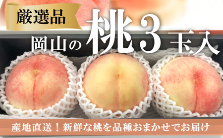 【2026年先行予約】厳選品 旬の桃（品種おまかせ）3玉入 (岡山県産)  【KF-A016-03】