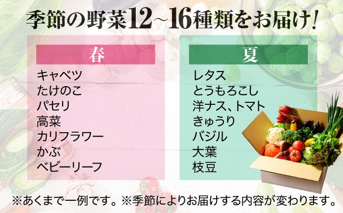 【年内発送】【シェフの目線】栽培期間中農薬不使用！大満足 旬のお野菜セット　愛媛県大洲市/有限会社ヒロファミリーフーズ[AGBX003]野菜 サラダ カレー 農業 トマト 料理  きゅうり 鍋 とうも