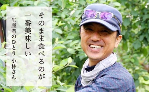 元調理師の小林さんが「そのままが一番」と太鼓判を押すりんご。