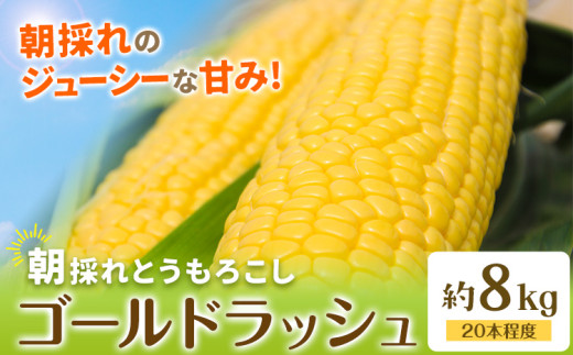 【先行予約】とうもろこし 約8kg(20本程度) 野木町産 老沼 利治《2026年6月中旬-7月中旬頃出荷》栃木県 野木町 ジューシー 生食可能 旬の野菜 健康食 バーベキュー 焼き 茹で とうもろこし ゴールドラッシュ 黄色 イエロー 朝採れ クール便 先行予約 野菜 スイートコーン コーン