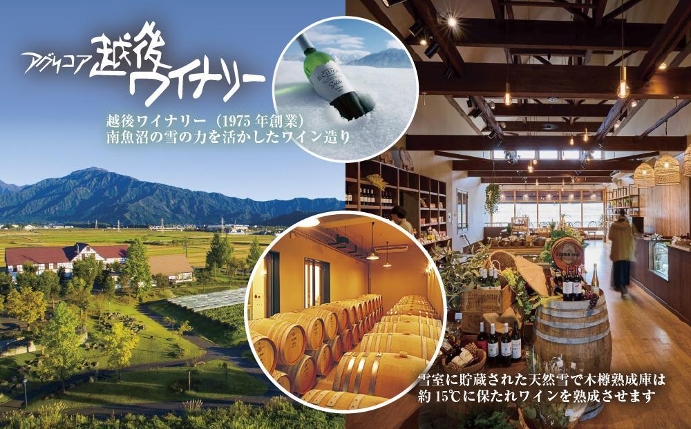 無地熨斗 雪室貯蔵ワイン 雪季 せっき 白 750ml 2本セット アグリコア  越後ワイナリー  シャルドネ57％ セーベル43％ 辛口 アルコール12% 南魚沼市産メルロー使用 辛口 ミディアムボ