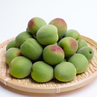 ふるさと納税 広川町 ＜6月発送＞厳選 青梅5kg+150g(傷み補償分)【梅干し・梅酒・梅ジュース】 |  | 01