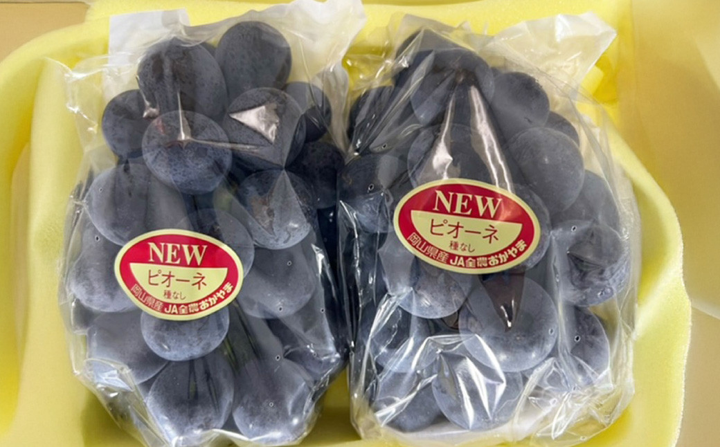 岡山県産 ニューピオーネ 4房（1房480g以上）約2kg