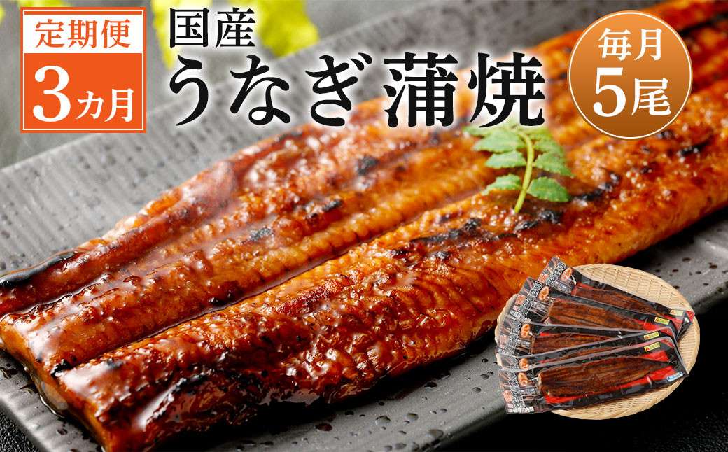 
JS-224【3カ月定期便】 九州産うなぎ蒲焼 約170g×5尾×3回
