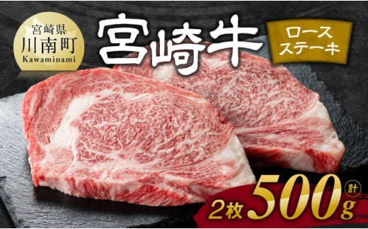 ※令和7年5月発送※宮崎牛 ロース ステーキ 2枚 500g 【 肉 牛肉 国産 宮崎県産 宮崎牛 黒毛和牛 和牛 ステーキ BBQ 4等級  A4ランク ロース 】