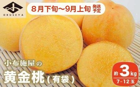 先行受付 黄金桃（有袋） 約3kg 7～12玉 ［小布施屋］令和8年産 【2026年8月下旬～9月上旬発送】 ［A-214］