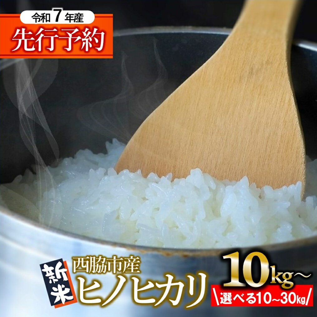 【ふるさと納税】【新米先行予約】【令和7年産 ヒノヒカリ 】白米 10kg / 20kg / 30kg 米 お米 兵庫県産 ひのひかり ヒノヒカリ 旨味 もっちり モッチリ 食感 甘い 精米