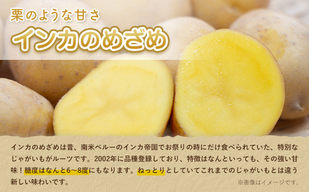 インカのめざめ 10kg じゃがいも 飯山農場《9月中旬-3月上旬頃出荷》芋 ジャガイモ 野菜 送料無料 北海道 浦幌町 