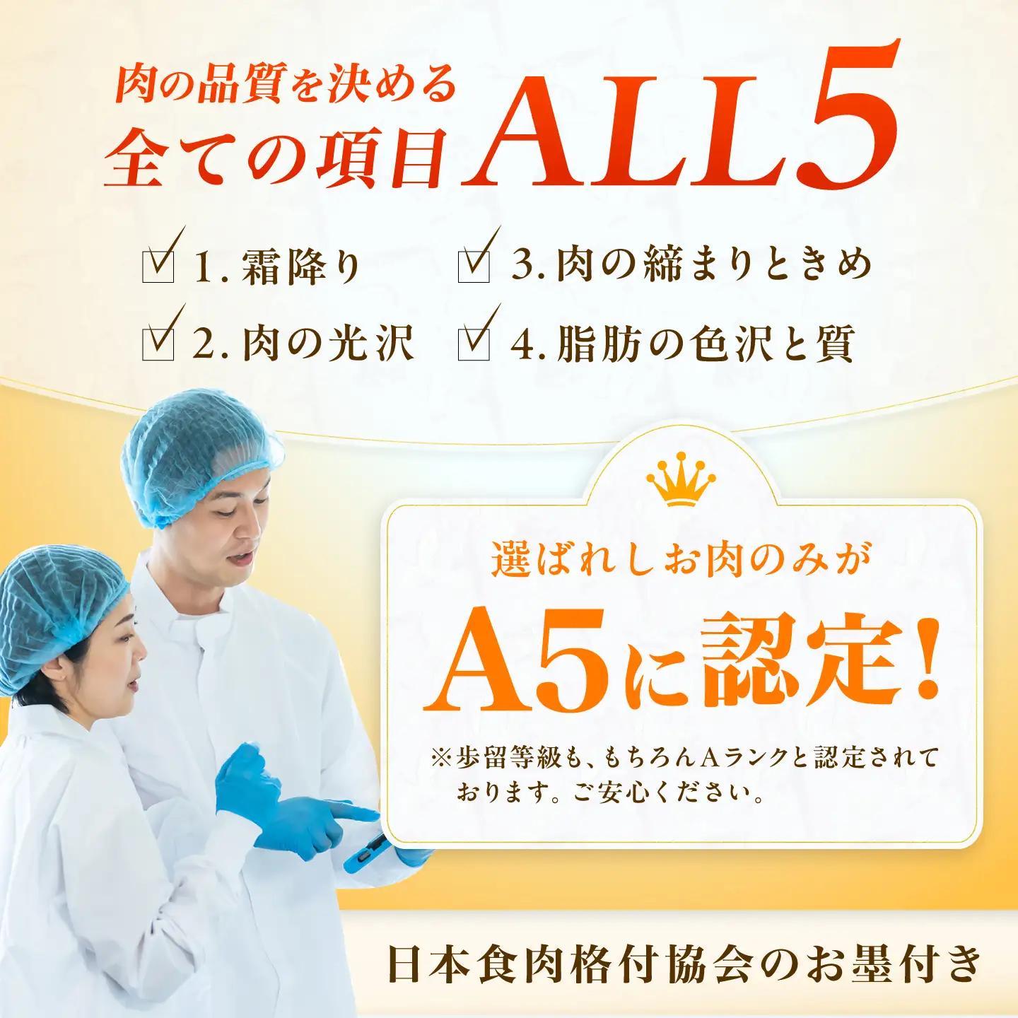 【3回定期便】博多和牛 A5ランク 赤身スライス 500g しゃぶしゃぶ セット (あご出汁濃縮タイプ付き) 広川町 / KRAZY×MEAT[AFCH046]