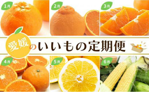 【ふるさと納税】【定期便12回】愛媛のいいもの定期便 フルーツ 定期便（かんきつ・お野菜・ジュレ）