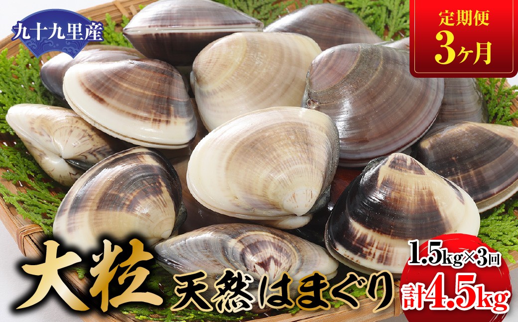 
                  【定期便3ヶ月】九十九里産 大粒 天然はまぐり1.5kg×3回 計4.5kg ふるさと納税 はまぐり 蛤 天然 焼きはま 網焼き 酒蒸し お吸い物 お祝い パエリア 和食 活はまぐり 千葉県 白子町 SHF009
                