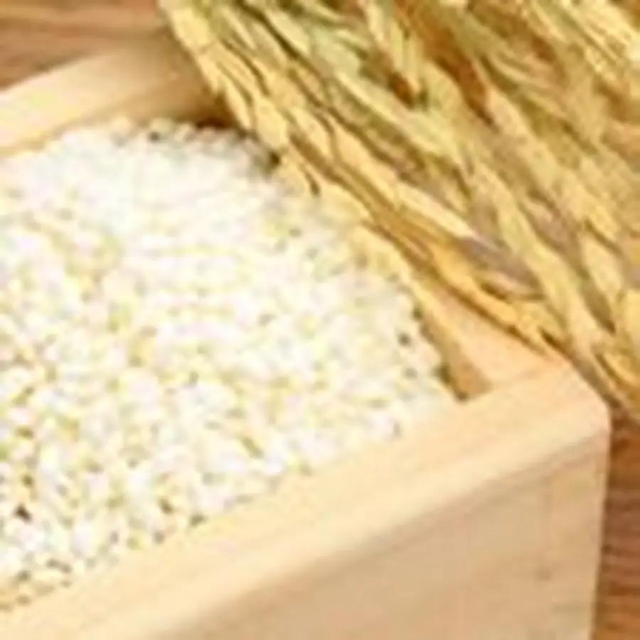 【令和7年産】 当日精米! 農家直送 美味しい クラシックコシヒカリ 2kg 新潟県 米 こめ コメ 精米 白米 1F15008