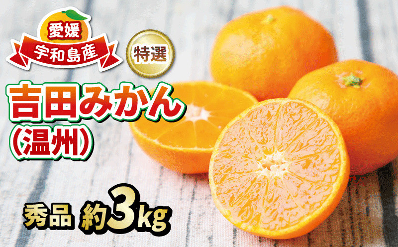 
            愛媛 みかん  贈答用 秀品 5kg 2024年12月発送 フレッシュつちやま 特選 温州 温州みかん 贈答用みかん 早生 早生温州 南柑20号 贈答品 ギフト プレゼント 高級 果物 くだもの フルーツ 柑橘 蜜柑 愛媛みかん 愛媛蜜柑 愛媛ミカン 農家直送 産地直送 数量限定 国産 愛媛 愛媛県産 宇和島 B015-096004
          