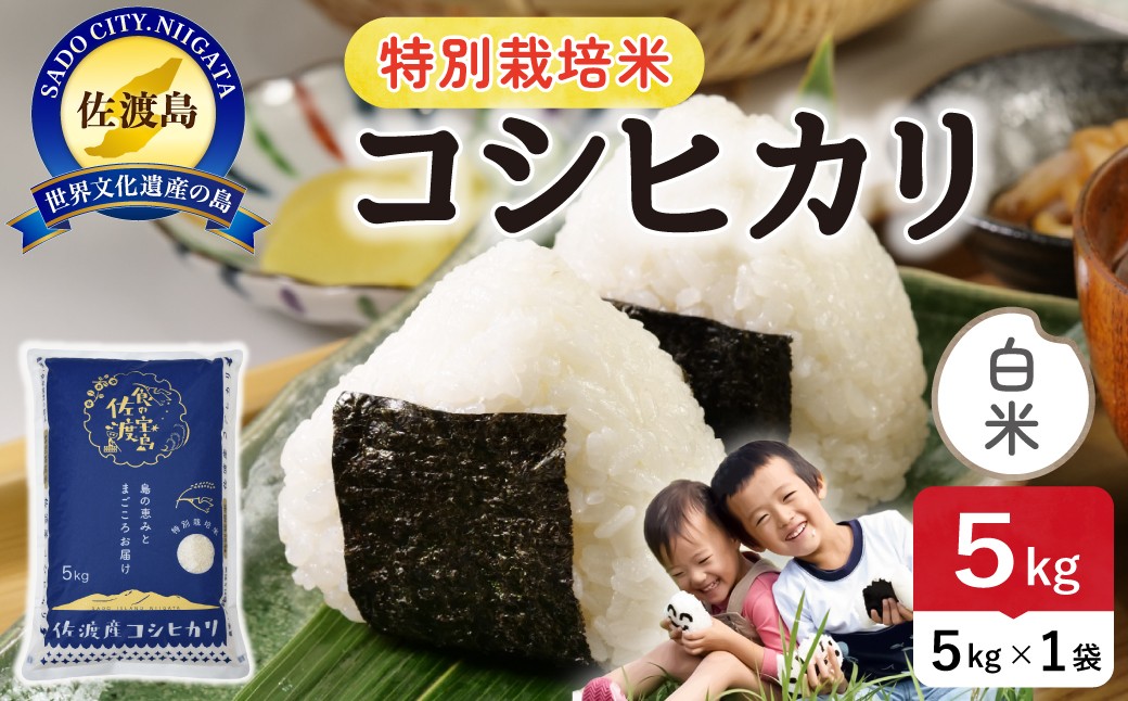 
                  佐渡島産コシヒカリ 白米 5kg 令和7年産 特別栽培米/単一原料米 | 新潟県産コシヒカリ 新潟産コシヒカリ 佐渡産コシヒカリ 新潟県産こしひかり 佐渡産こしひかり お米 米 こしひかり 白米 精米 おこめ コメ 5キロ にいがた さど 新潟県 佐渡市
                