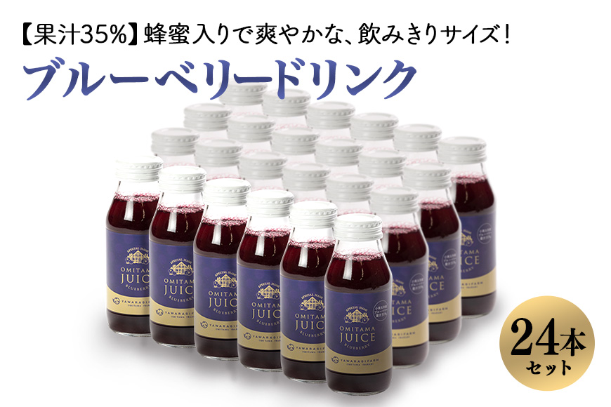 果汁35％ブルーベリー飲料24本 9-O