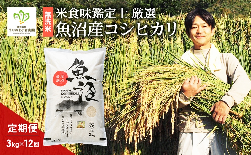 
                  [№5762-1324]無洗米「米食味鑑定士 厳選」魚沼産コシヒカリ 3kg 12ヵ月連続お届け　米 こめ お米 コメ こしひかり 新潟県 魚沼市 魚沼 ライス ご飯 主食 新潟県産 産地直送 時短
                
