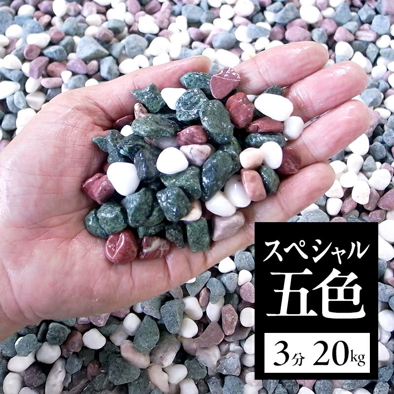 【ふるさと納税】スペシャル五色3分(9~12mm) 20kg袋 兵庫県 洲本市 淡路島