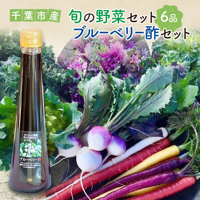 【ふるさと納税】旬の野菜セット6品 ブルーベリー酢 セット 野菜 野菜セット 野菜詰め合わせ 詰め合わせ やさい 千葉市 千葉県