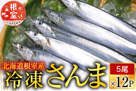 【北海道根室産】冷凍さんま60尾 D-70002