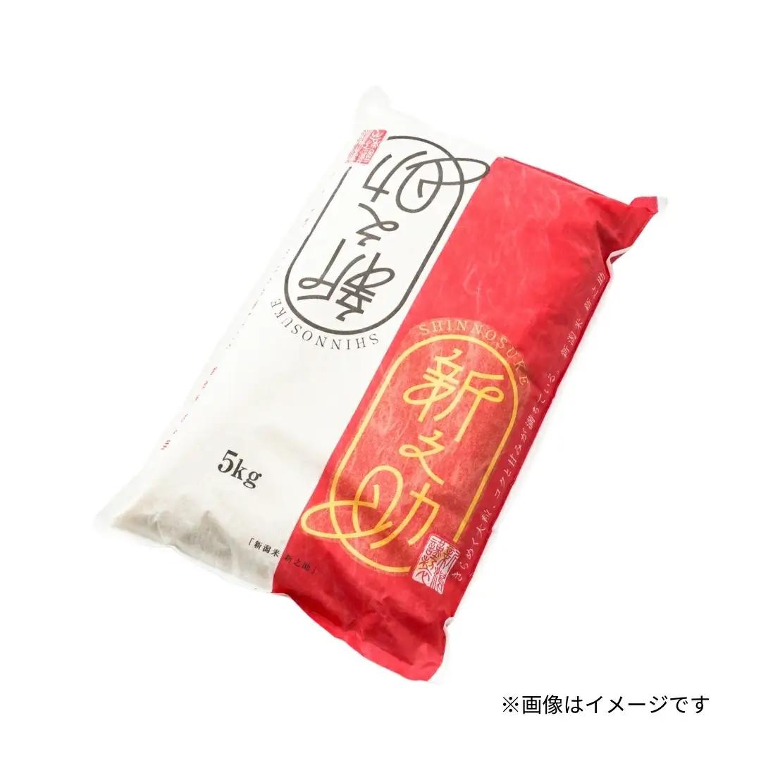 【先行予約】令和8年産 新米 新之助 精米 5kg【10月上旬発送開始】 | 新潟県産 白米 米 五泉市 新潟産