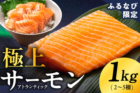 ふるなび限定 極上サーモン 1kg サーモン FN-Limited-PR