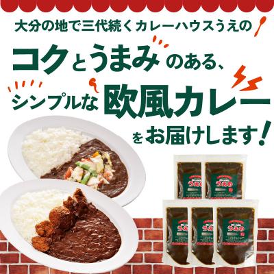 ふるさと納税 大分市 九州クラフト うえの焙煎ビーフカレー 冷蔵 5袋_K03041 |  | 01