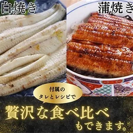【蒲焼き用タレ付き】浜名湖うなぎ白焼き140g×3尾(冷凍・真空パック)_魚介・海産物 うなぎ  ウナギ 鰻_【配送不可地域：離島】【1497506】