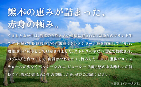 あか牛ヒレ肉 シャトーブリアン　約3kg(約150g×20枚)