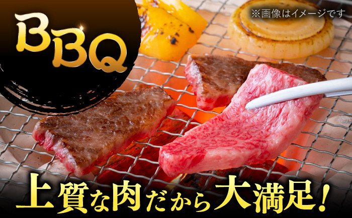 【訳あり】博多和牛 焼肉 切り落とし1kg（500g×2p）  