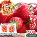 【ふるさと納税】【先行予約】【全6回定期便】熊本県産 ゆうべに いちご セット 250g×2P 農園直送 産地直送 熊本県産 山都町産 いちご イチゴ 苺 フルーツ 果物 【なかはた農園】[YBI047]