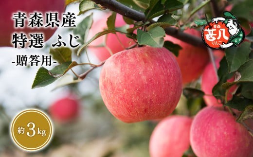 ５～７月発送 特選 甚八りんご ふじ３kg　【マルジンサンアップル】青森 青森県産 平川 りんご リンゴ 林檎 くだもの 果物 フルーツ 