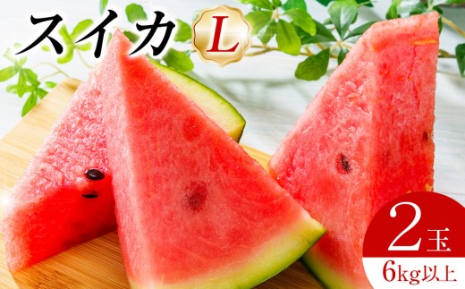 【2027年産先行予約】スイカL 2玉 6kg以上2玉 ※2027年6月上旬～8月中旬頃に順次発送予定（こちらの返礼品は、大栄西瓜ではありません）【西瓜 スイカ 果物 フルーツ くだもの 鳥取県 北栄町 おすすめ 人気 送料無料】
