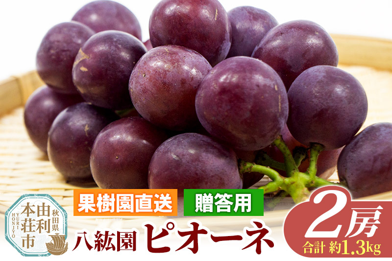 
            秋田県 由利本荘市産 八紘園 ピオーネ 2房（合計約1.3kg）
          
