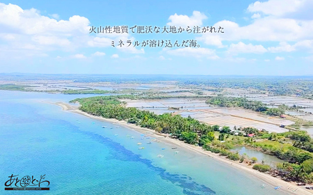 豊浦町の塩蔵で5年間以上寝かせた高級塩　天日結晶化塩　あとれとわの塩 塩蔵静置5年　350g× 1袋【食べるJAPAN美味アワード2025認定商品】 