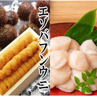 ふるさと納税 根室市 エゾバフンウニ130g×1折、ホタテ貝柱500g×1P[2027年1月中旬以降発送] D-40053