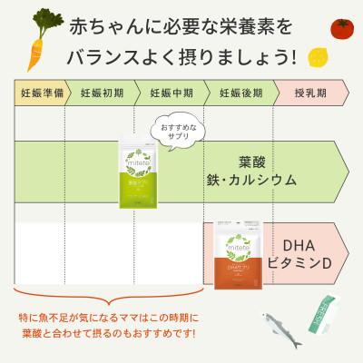 ふるさと納税 静岡市 mitete 葉酸サプリ & DHAサプリ 各30日分 セット |  | 01