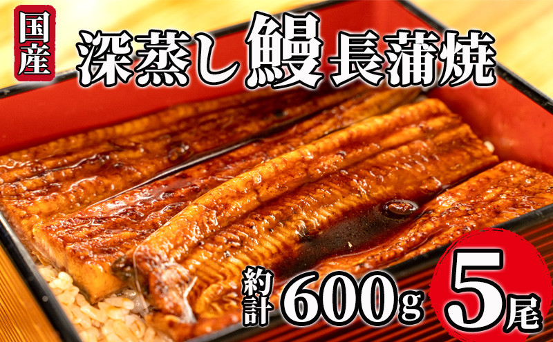 
            国産 鰻 うなぎ 蒲焼 計 5尾  1尾 約120g～130g 冷凍 小分け 深蒸し たれ付き 漁協 オリジナル 人気 静岡 静岡県 土用 丑の日
          