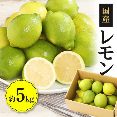 ふるさと納税 高松市 【先行受付2026年】レモン　約5kg