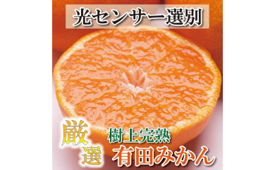 ＜11月より発送＞厳選 完熟有田みかん5kg+150g（傷み補償分）