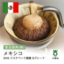 【ふるさと納税】[ 粉 ]#31 受注焙煎！310g メキシコ SHG クステペック農園 Qグレード 珈琲粉 コーヒー粉 自家焙煎 | 珈琲 コーヒー 焙煎 カフェ 大阪府大東市