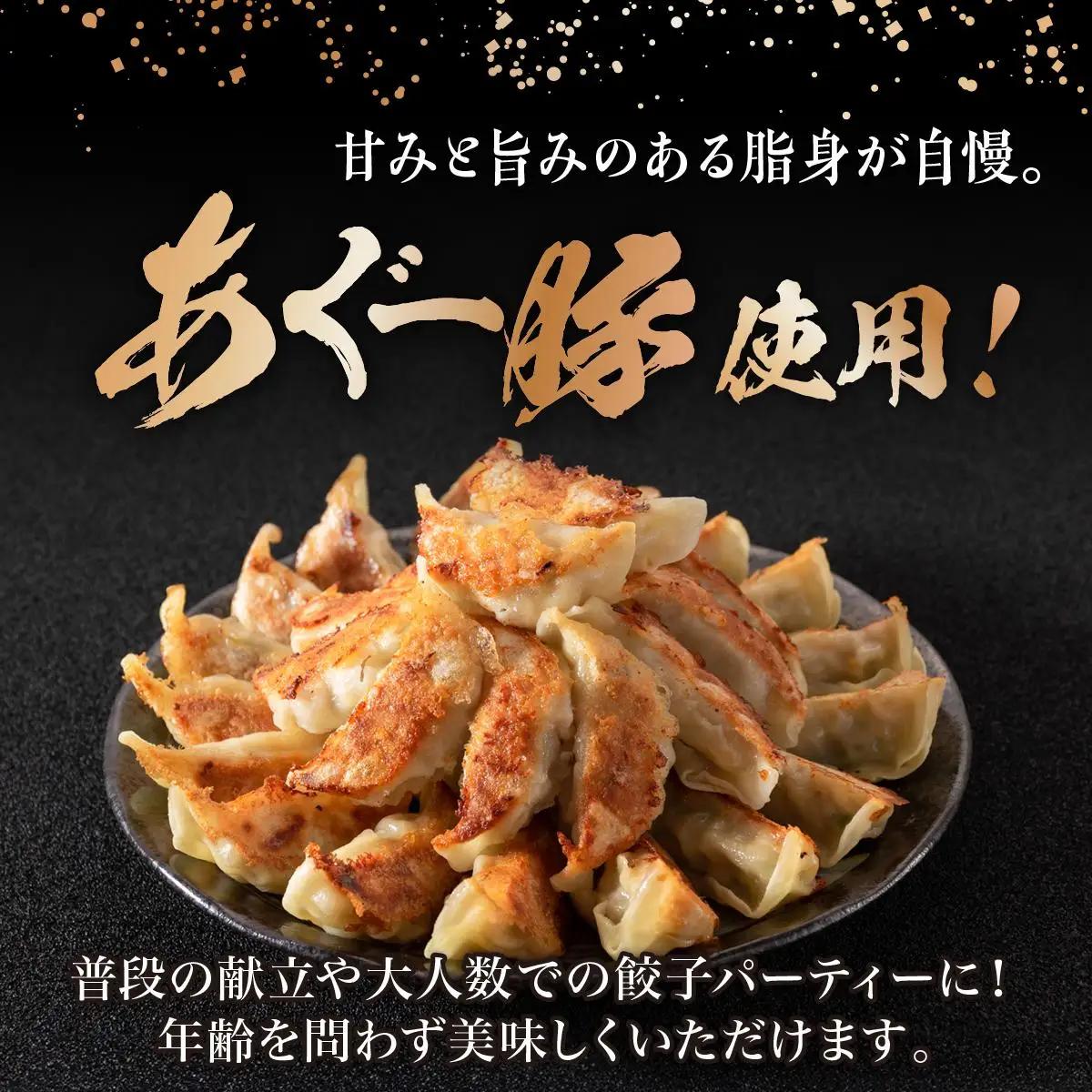 【美ら島あぐ～】餃子（80個入り／4パック×20個入り）   