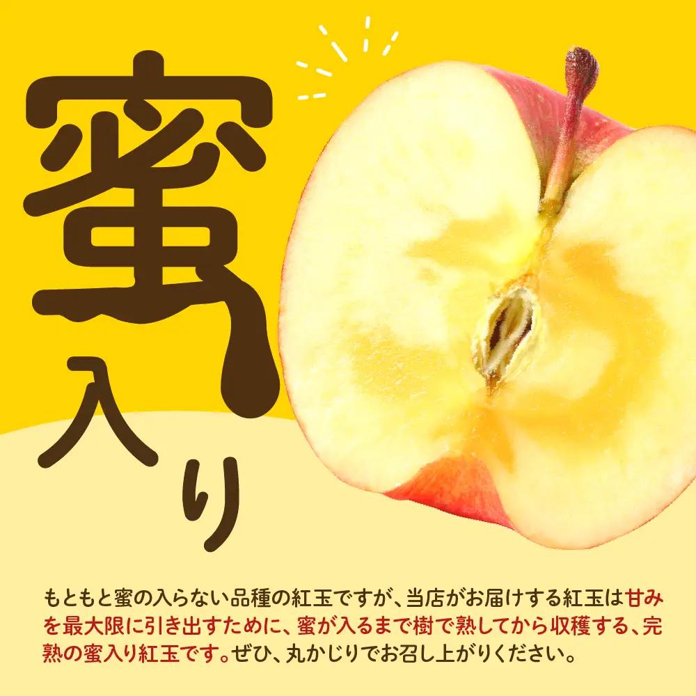 【先行予約】 令和8年産 紅玉 りんご 約2kg 舘山 りんご
