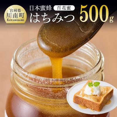 ふるさと納税 川南町 日本みつばちで採蜜した純粋はちみつ(百花蜜)500g