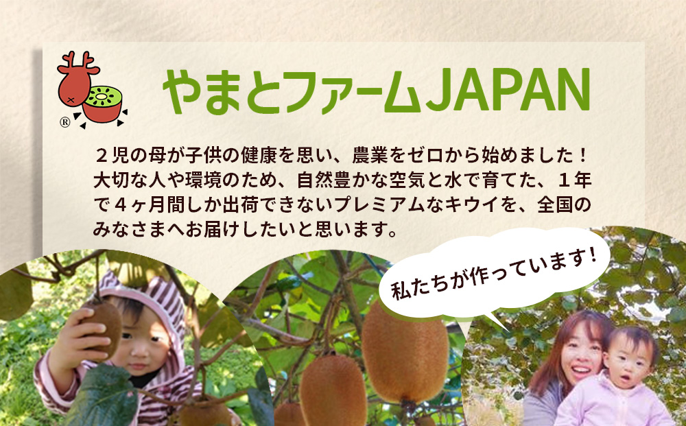 ＜12月〜3月発送＞プレミアム キウイ フルーツ Lサイズ 14個入 追熟処理済 ／ ふるさと納税 キウイ キウイフルーツ ギフト 栄養 果物 お土産 化学肥料不使用 特別栽培 塩 奈良県 宇陀市 や