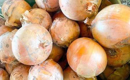 あわじ島完熟たまねぎ　10㎏　◆配送６月～12月下旬