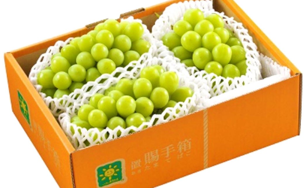 シャインマスカット 秀2～4房